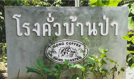 cover โรงคั่วบ้านป่า กาแฟคั่วสด จ.พัทลุง