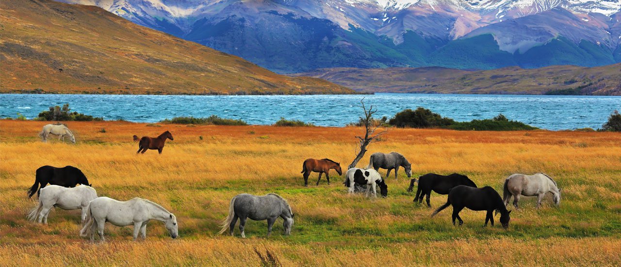 cover The 5 places in Nepal that you must go once in your life!!!