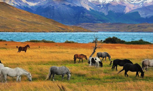 cover The 5 places in Nepal that you must go once in your life!!!