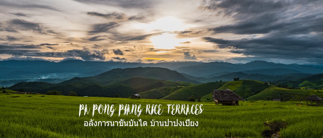 cover จ่ายหลักร้อย ได้วิวหลักล้าน อลังการนาขั้นบันไดที่บ้านป่าปงเปียง