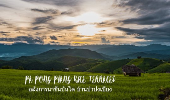 Cover จ่ายหลักร้อย ได้วิวหลักล้าน อลังการนาขั้นบันไดที่บ้านป่าปงเปียง...