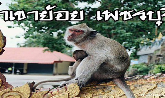 Cover หนีกรุง ไปหลงรัก.. ( เขา )..ถ้ำเขาย้อย เพชรบุรี...
