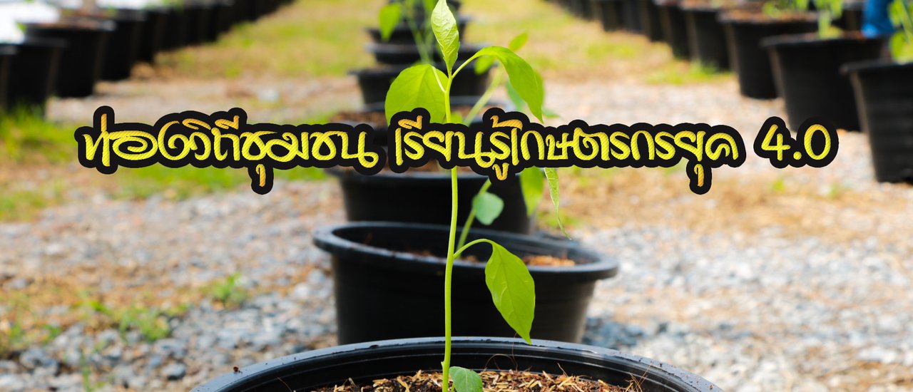 cover ท่องวิถีชุมชน เรียนรู้เกษตรกรยุค 4.0 ณ สุพรรณบุรี