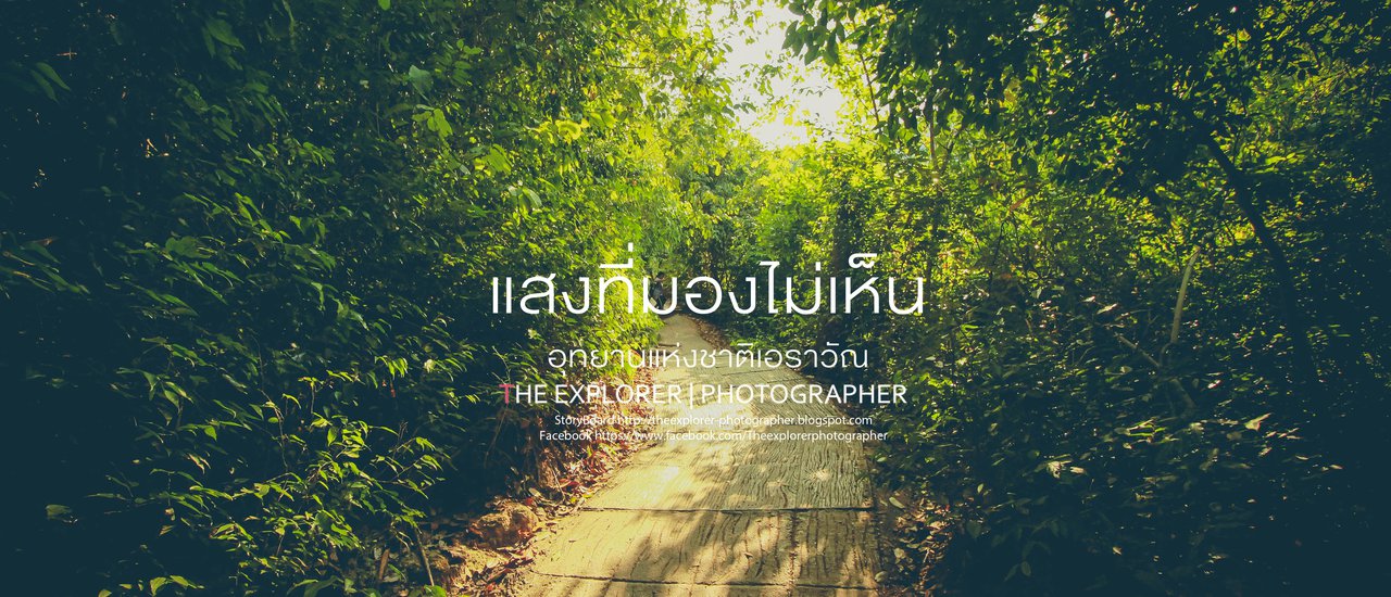 cover แสงที่มองไม่เห็น - บันทึกการเดินทาง ณ อุทยานแห่งชาติเอราวัณ