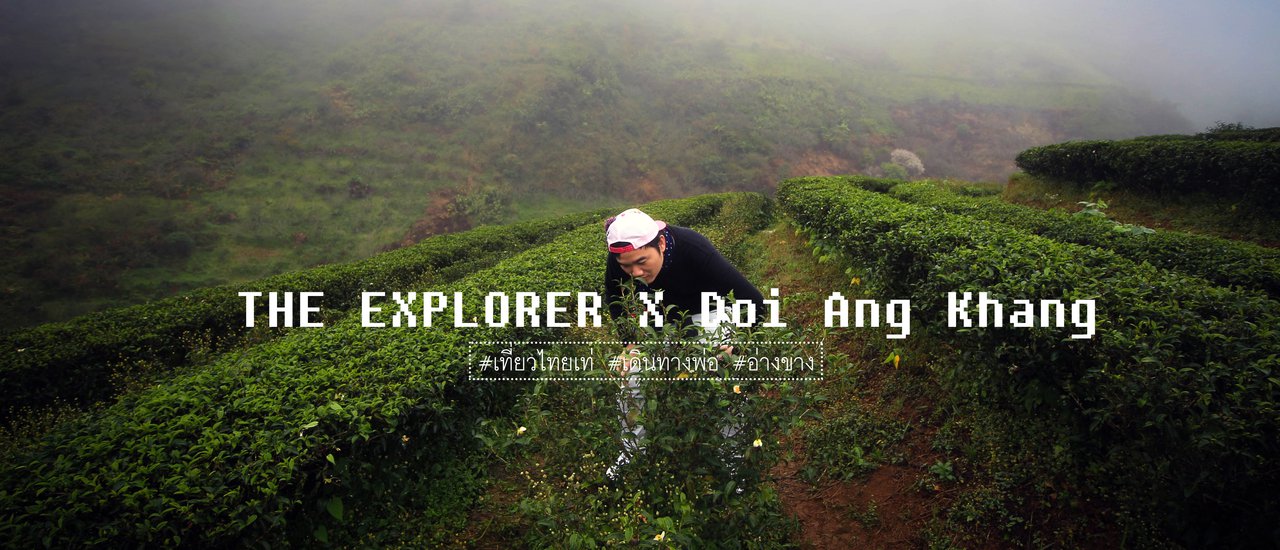 cover สูดไอหมอก ณ ดอยอ่างขาง X เก็บบันทึกระหว่างกาล(เวลา)เดินทาง