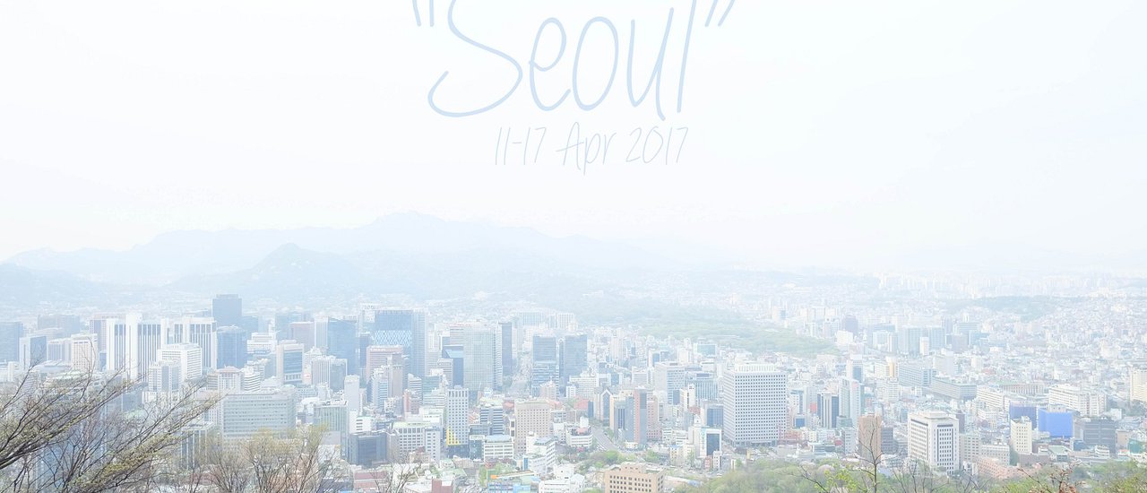 cover พาไป First time Sakura in Korea - 11-17 April 2017