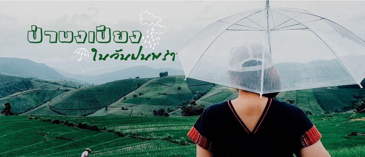 cover ปล่อยชีวิตช้าๆ ที่ป่าบงเปียง จ.เชียงใหม่