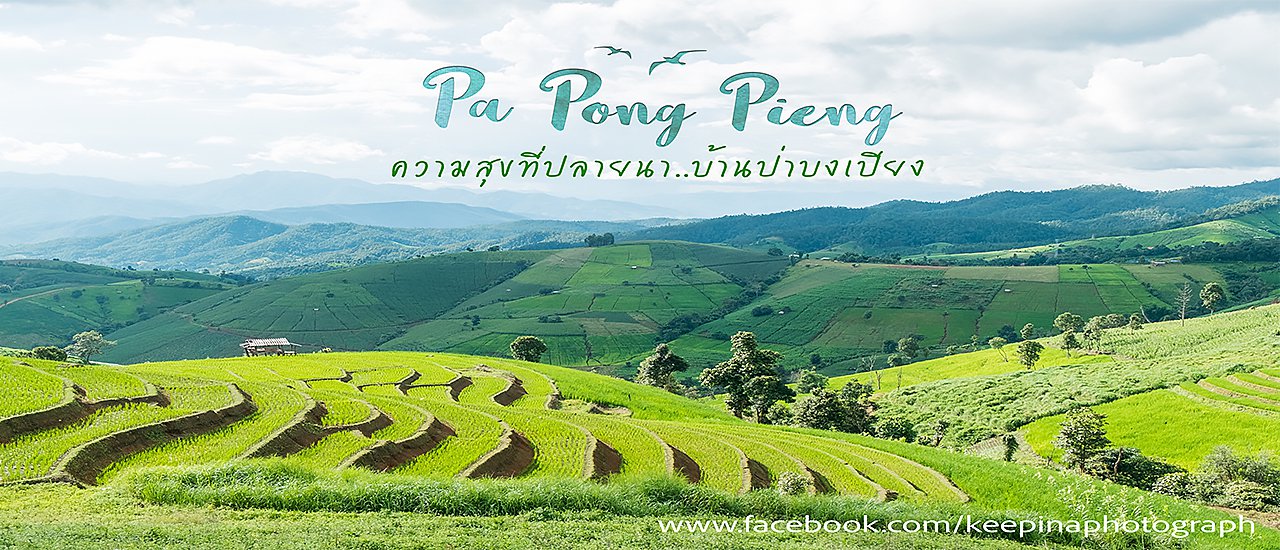 cover ความสุขที่ปลายนา 'บ้านป่าบงเปียง' การเดินทางที่แสนพิเศษ