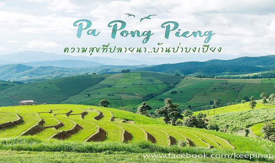 cover ความสุขที่ปลายนา 'บ้านป่าบงเปียง' การเดินทางที่แสนพิเศษ