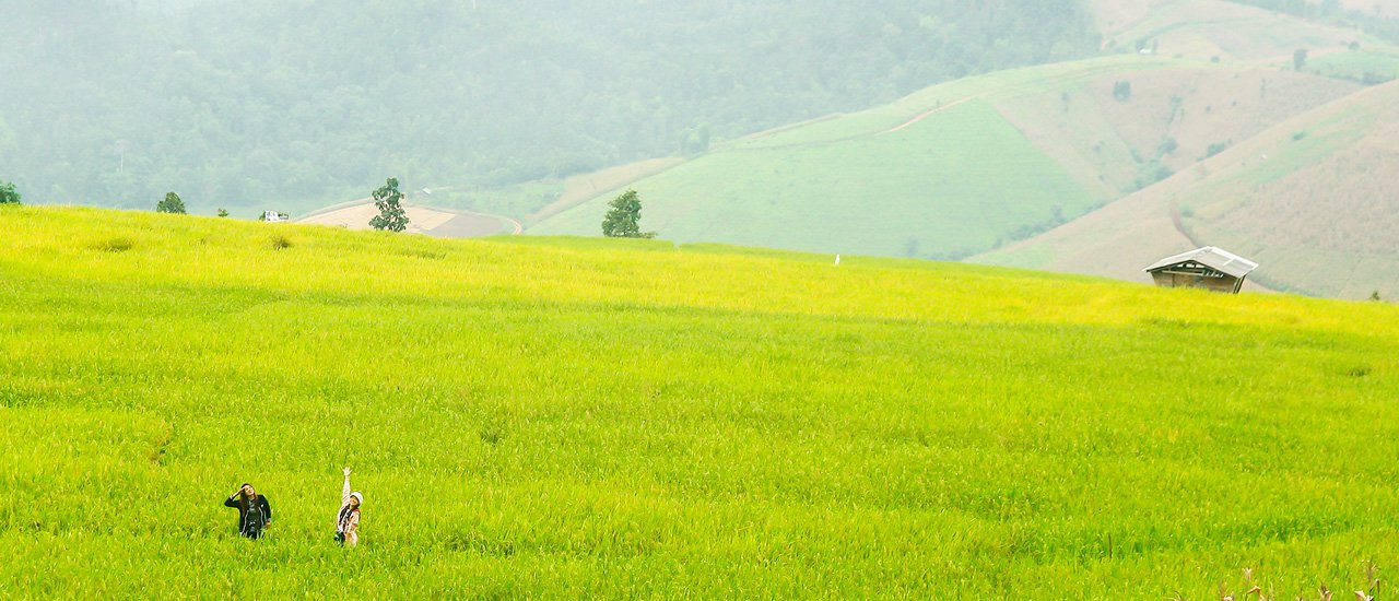 cover อาสา : พากันเที่ยว บ้านป่าบงเปียง เชียงใหม่