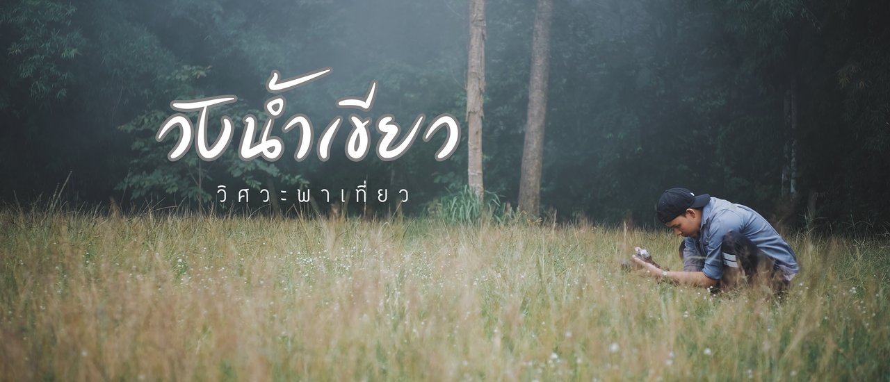 cover WANGNAMKHIEW (วังน้ำเขียว) : มนต์เสน่ห์ของ (เขา) ที่ชวนเราให้ไปหา