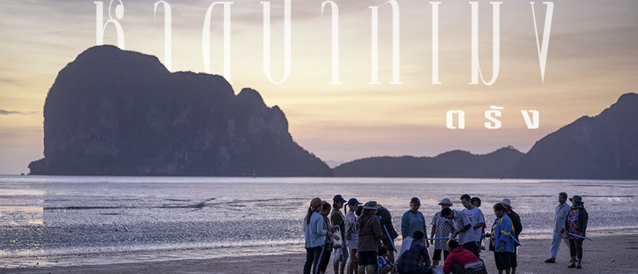 cover “ F i n d i n g ห อ ย ต ะ เ ภ า ” ณ หาดปากเมง จ.ตรัง