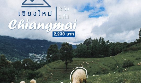 Cover • เชียงใหม่ - เป้หนึ่งใบ - กับใจเซอร์เซอร์ •...