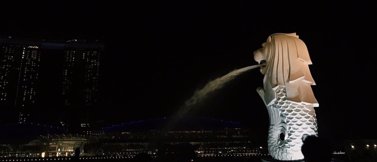 cover สิงคโปร์ไปทำไม ?