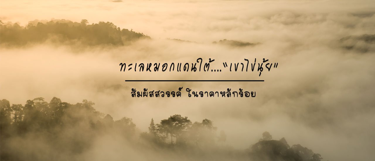 cover ทะเลหมอกแดนใต้.."เขาไข่นุ้ย" สัมผัสสวรรค์ ในราคาหลักร้อย