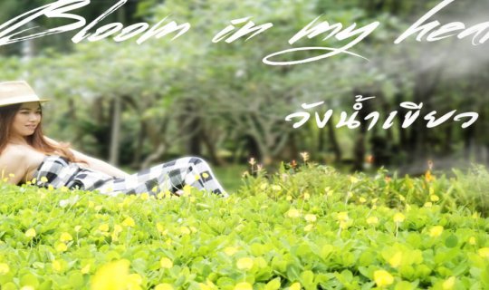 cover วังน้ำเขียว Bloom in My Heart