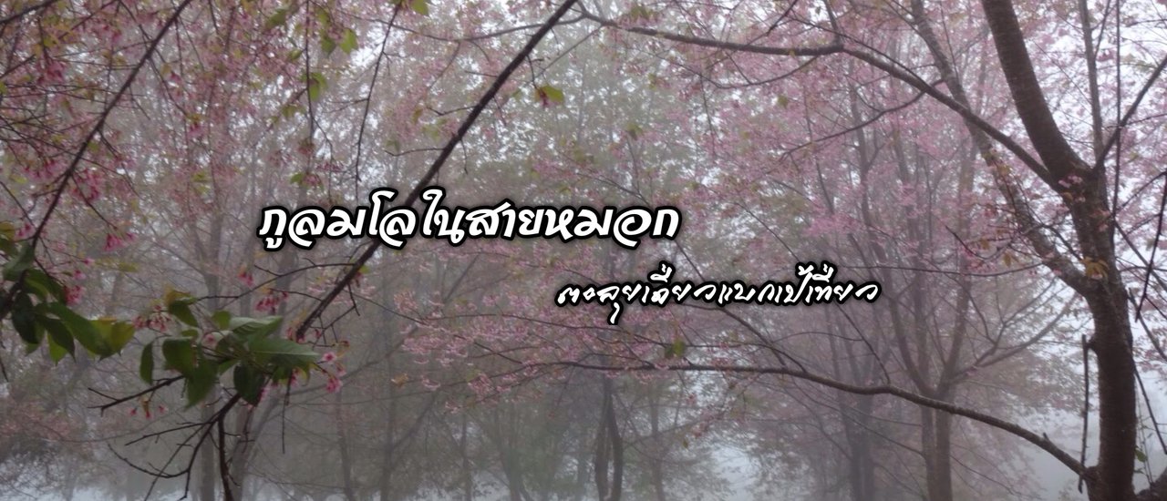 cover ภูลมโลในสายหมอก