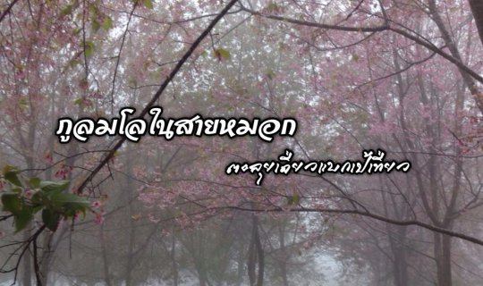 cover ภูลมโลในสายหมอก