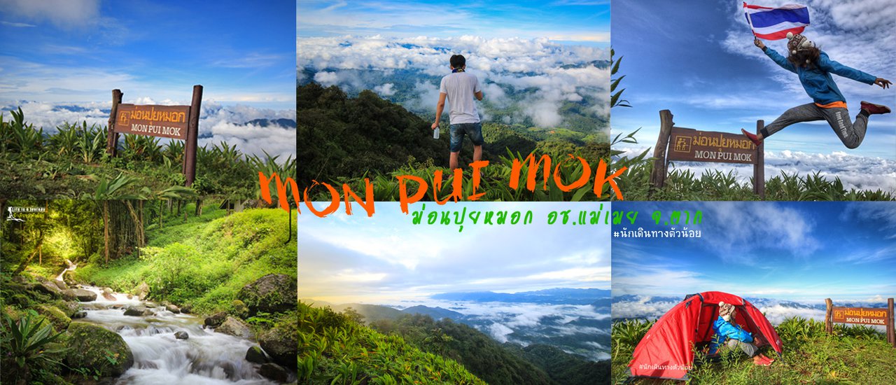 cover ทริปโดนเท ม่อนปุยหมอก อยากบอกว่ารักเธอ เดินป่าหน้าฝนและคนข้างๆ