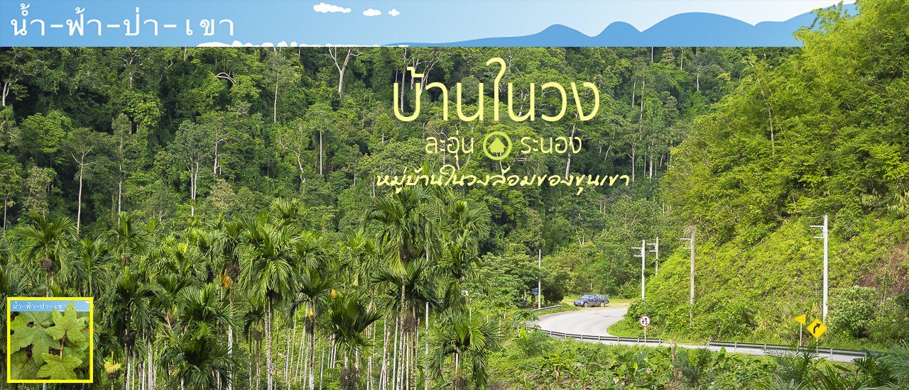 cover The Homestay in the Middle of the Jungle " Baan Nai Wong" in La-Oun, Ranong, The Small Village in the Mountains.