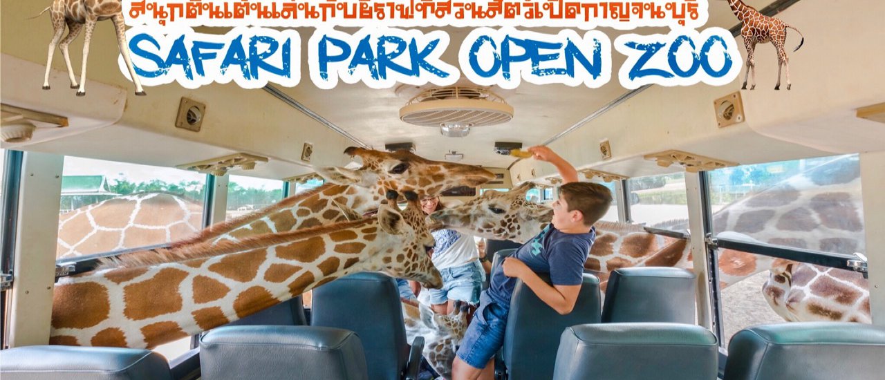 cover ตื่นเต้นเล่นกับยีราฟที่ Safari Park Open Zoo กาญจนบุรี