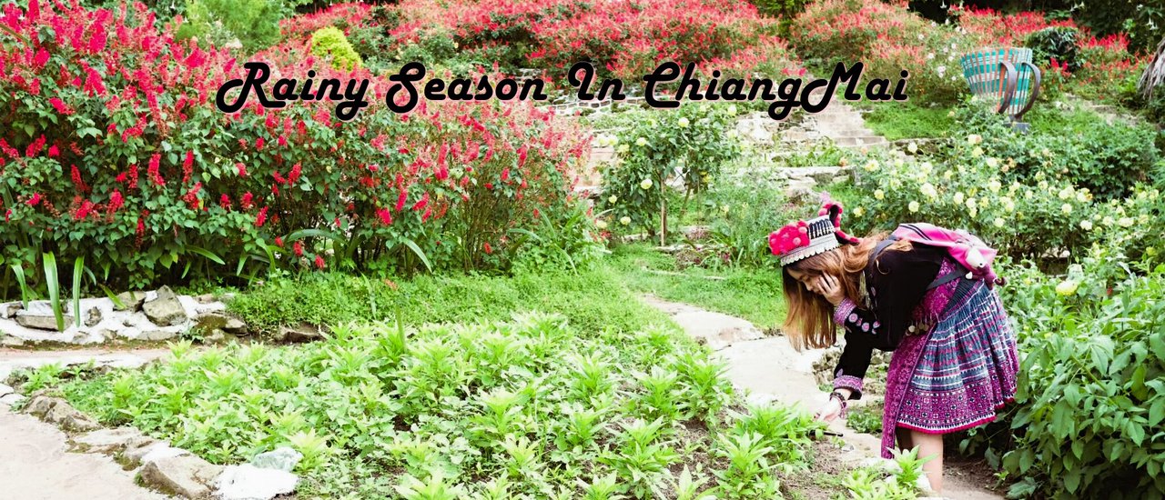 cover สะพายกล้องลุยเดี่ยว ผู้หญิงคนเดียวก็แว้นมอเตอร์ไซค์เที่ยวเชียงใหม่ได้