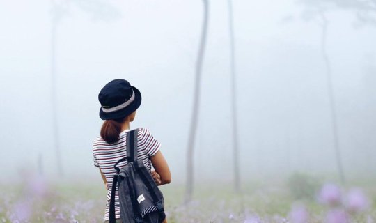 cover ปล่อยใจเหงาๆ ให้ล่องลอยไปในสายหมอก @ ภูสอยดาว