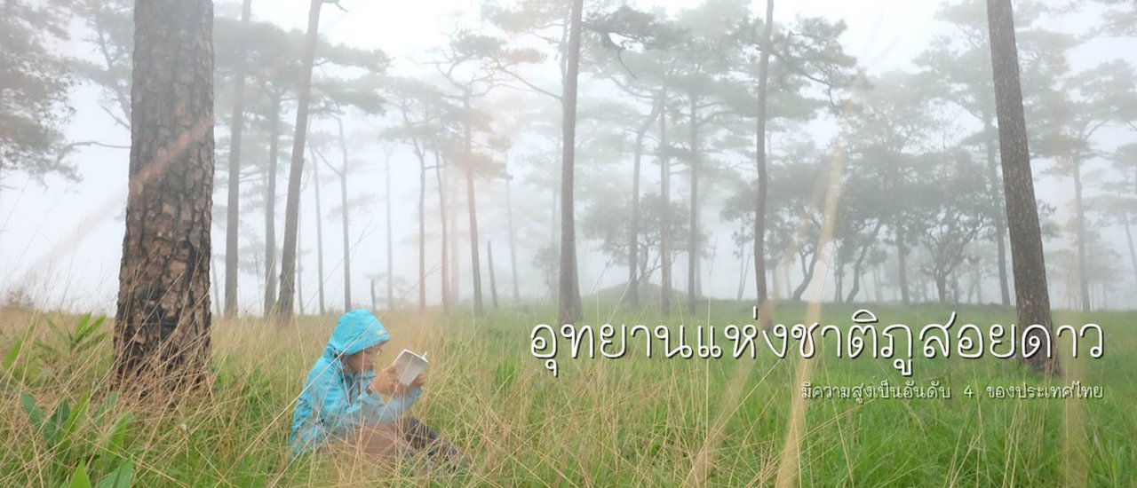 cover มาเปิดวันแรกของ "ภูสอยดาว" ปี 2560