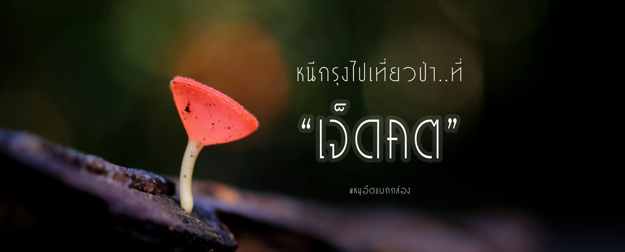 cover " หนีกรุงไปเที่ยวป่า....มุ่งหน้าไปเจ็ดคต "