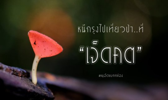 cover " หนีกรุงไปเที่ยวป่า....มุ่งหน้าไปเจ็ดคต "