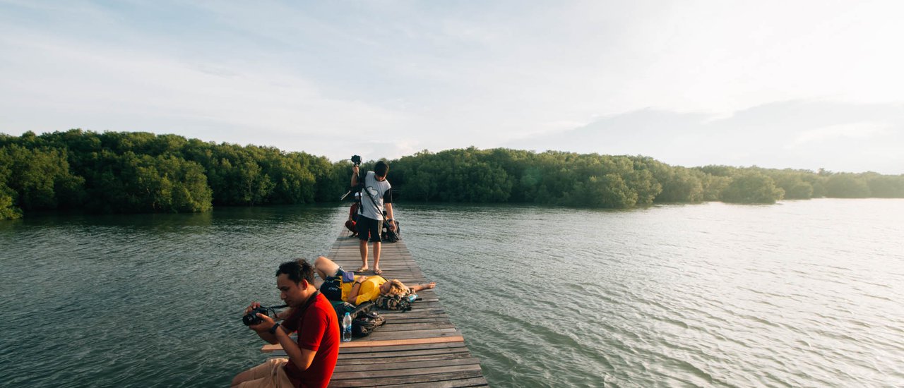 cover "แหลมผักเบี้ย" โครงการในพระราชดำริ