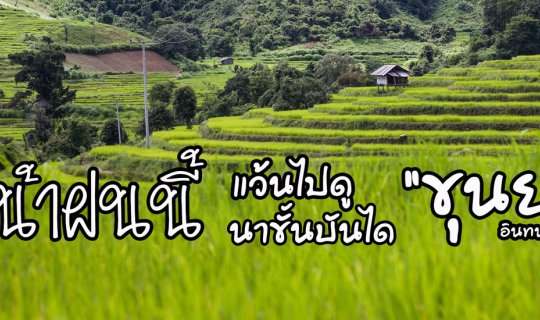 cover หน้าฝนนี้แว้นไปดูนาขั้นบันไดที่ "ขุนยะ" อินทนนท์