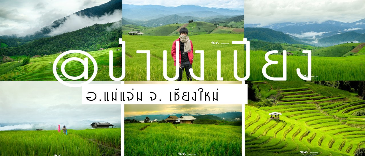 cover ไปรถไฟ ไปคนเดียว เที่ยวนาขั้นบันได กับไอหมอกหน้าฝน @ป่าปงเปียง-ดอยอินทนนท์ จ.เชียงใหม่