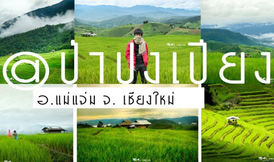 cover ไปรถไฟ ไปคนเดียว เที่ยวนาขั้นบันได กับไอหมอกหน้าฝน @ป่าปงเปียง-ดอยอินทนนท์ จ.เชียงใหม่