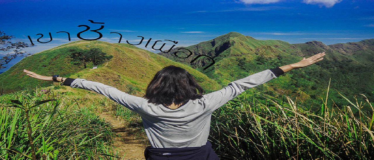 cover เขาหัวโล้น / สันคมมีด / ทุ่งหญ้าสีทอง / เขาช้างเผือก.. ต้องเก็บไว้ในความทรงจำ