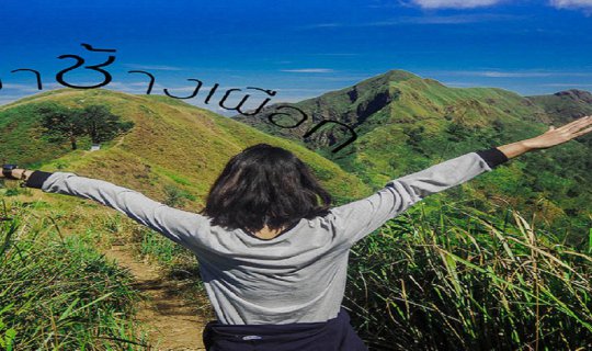 cover เขาหัวโล้น / สันคมมีด / ทุ่งหญ้าสีทอง / เขาช้างเผือก.. ต้องเก็บไว้ในความทรงจำ