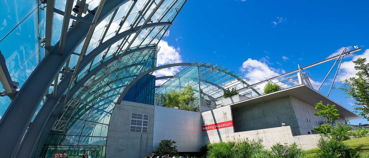 cover เที่ยวเมือง Iwaki จังหวัด Fukushima ตอน ตะลุย Aquamarine Fukushima และตลาดปลา Lalamew