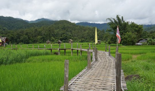 cover เที่ยวหน้าฝน: หนีความวุ่นวาย เชียงใหม่-ปาย