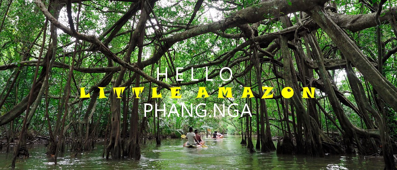 cover Hello Phang.Nga : ทริปที่มีงูออกมา Little Amazon Takuapa จ.พังงา