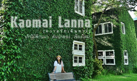 cover เก๊าไม้ล้านนา - คาเฟ่โรงบ่ม :: สุดคลาสสิคในสไตล์ 1955