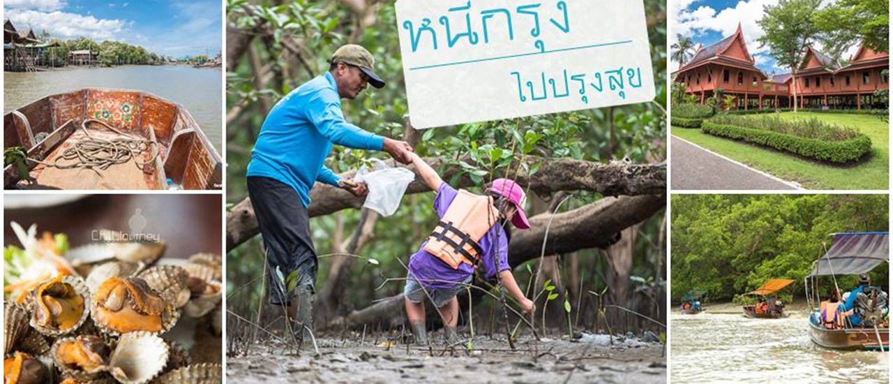 cover Escape from Bangkok to enjoy slow life and calm the mind by nature for 3 days 2 nights in Samut Songkhram, Amphawa and Khlong Khon.