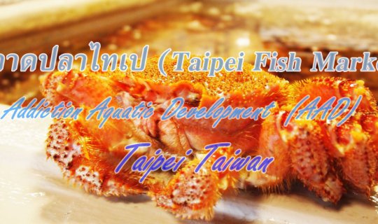 cover ตลาดปลาไทเป (Taipei Fish Market) - Addiction Aquatic Development  (AAD)