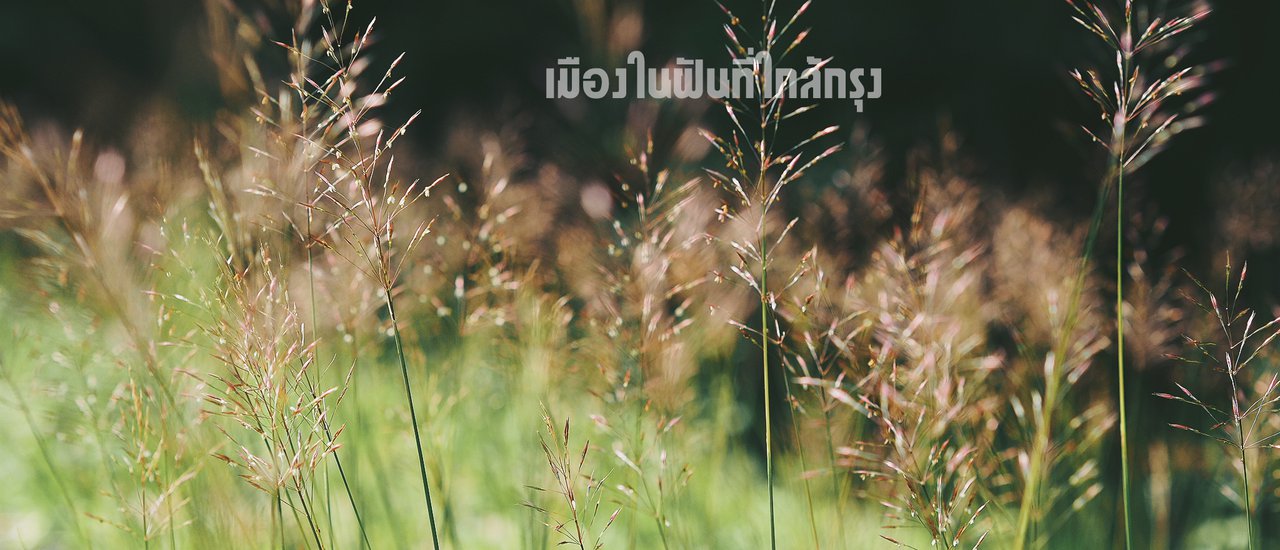 cover นครนายก "เมืองในฝันที่ใกล้กรุง"