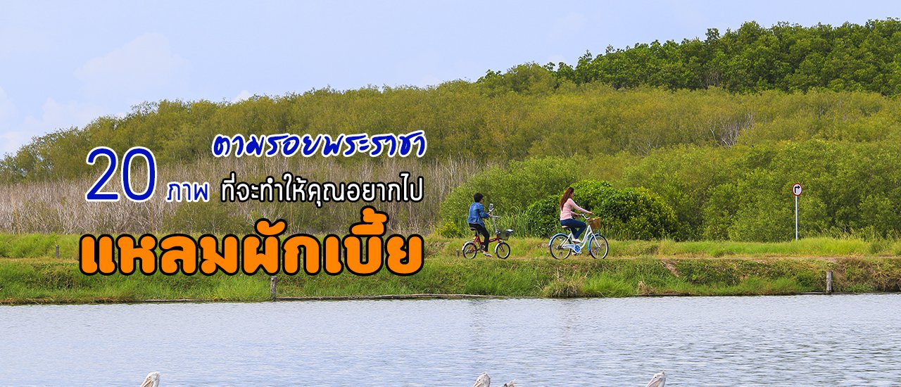 cover ตามรอยพระราชา : 20 ภาพ ที่จะทำให้คุณอยากไป "แหลมผักเบี้ย"