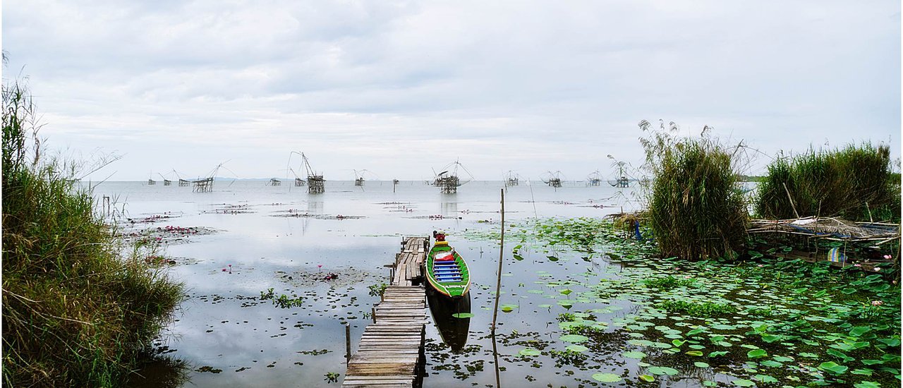 cover @@@ พัทลุง ไปส่องควายน้ำ ดูยอยักษ์ พักบ้านชายเล(Wetland Camp )@@@