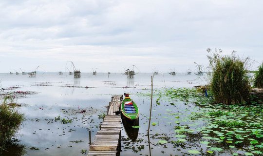 cover @@@ พัทลุง ไปส่องควายน้ำ ดูยอยักษ์ พักบ้านชายเล(Wetland Camp )@@@
