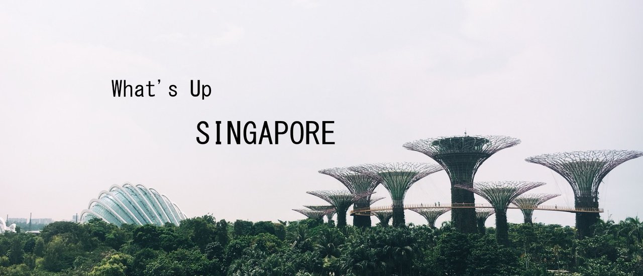 cover ฮัลโหลลล SINGAPORE เด๋อๆทั้งทริป