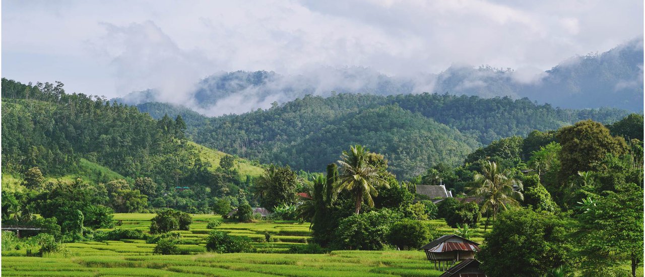 cover @@@ โครงการหลวงแม่ลาน้อย ห้วยห้อมหอมกลิ่นกาแฟ (พักเรือนน้อยริมนา ณ เฮินไตรีสอร์ท)@@@