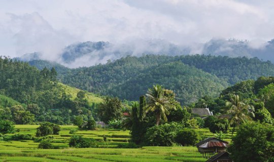 cover @@@ โครงการหลวงแม่ลาน้อย ห้วยห้อมหอมกลิ่นกาแฟ (พักเรือนน้อยริมนา ณ เฮินไตรีสอร์ท)@@@