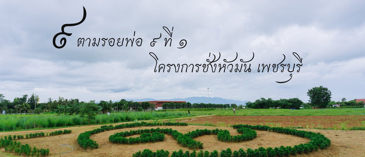 cover ๙ตามรอยพ่อ ๙ ที่ ๑ โครงการชั่งหัวมัน เพชรบุรี